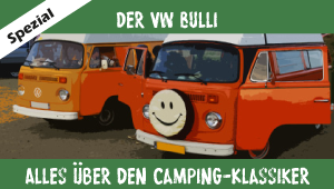 VW Bulli Spezial