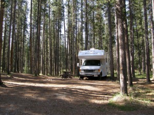 Caravan im Wald