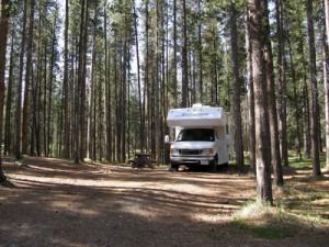 Camper im Wald